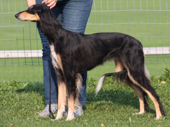Kati